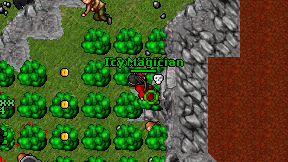 Ded'lath on screen
