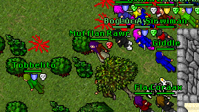 Mufflan Rawr on screen