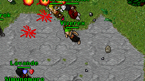 Vizerex on screen