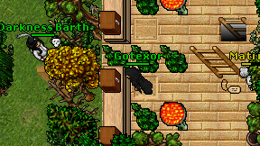Gotexor on screen