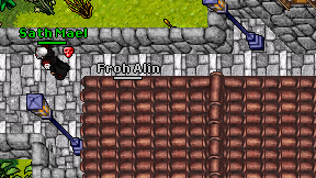 Froh Alin on screen