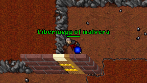 Ciberiuspp of malvera on screen