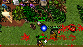 Neevo on screen