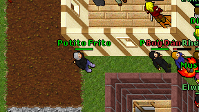 Potito Frito on screen