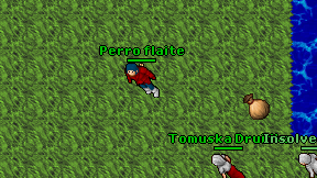 Perro flaite on screen