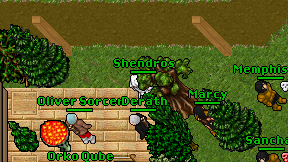 Shendros on screen