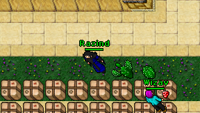 Razind on screen
