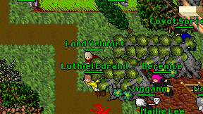 Lord Velmort on screen