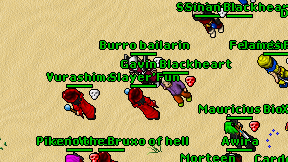 Burro bailarin on screen