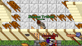 Zidane Triball on screen