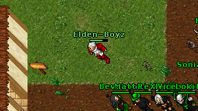 Elden-Boyz on screen