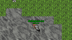 Adamosos on screen