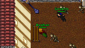 Asghar on screen