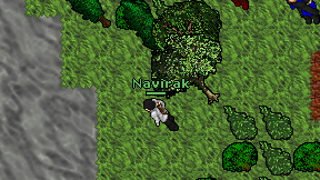 Navirak on screen