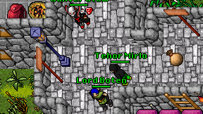 Tehor Mirlo on screen