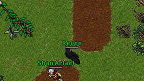 Recen on screen