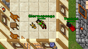 Giermaponga on screen