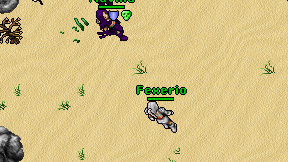 Fexerio on screen