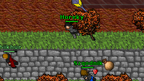 Horeky on screen