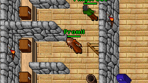 Promil on screen