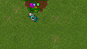 Rabbo on screen