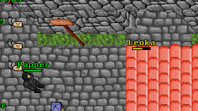 Leoka on screen
