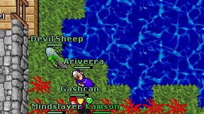 Ariverra on screen