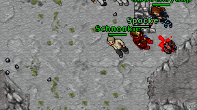 Schnookie on screen