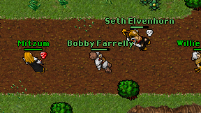 Bobby Farrelly on screen