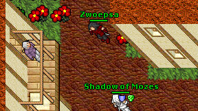 Zwoepsa on screen