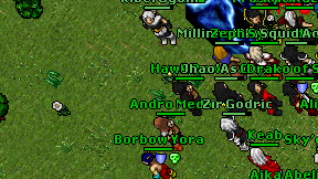 Hawk Rawk on screen