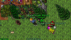 Terk Arco on screen