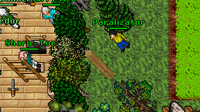 Paralizator on screen