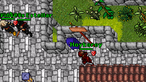 Hoykoroy on screen