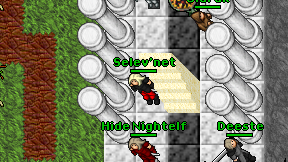 Selev'net on screen