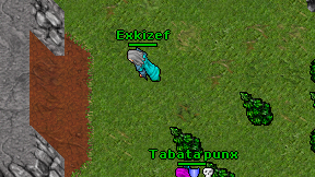 Exkizef on screen
