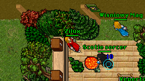 Zilux on screen