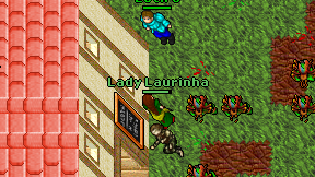 Lady Laurinha on screen