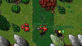 Orkrist on screen