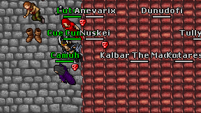 Kotares on screen