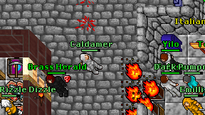 Caldamer on screen