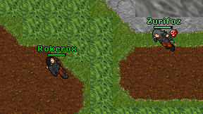 Rokerox on screen