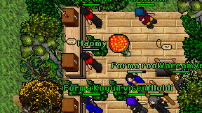 Haomy on screen