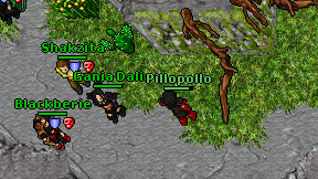 Pillopollo on screen