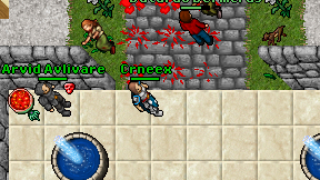 Crneex on screen