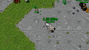Lill Olle on screen