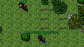 Dracula Angelical on screen