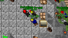 Many Druid on screen