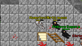 Hamstecito on screen