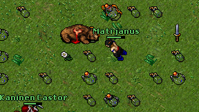 Mati janus on screen